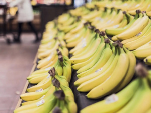 المغرب استورد 23 ألف طن من الموز خلال 2023 المغرب استورد 23 ألف طن من الموز خلال 2023