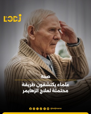 دراسة أمريكية جديدة تقدم أملاً في إصلاح الاشتباكات العصبية المتضررة بالدماغ