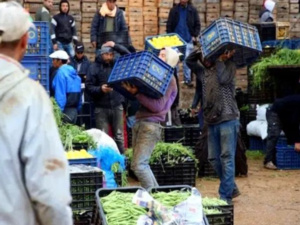 ترحيل أسواق الجملة بالبيضاء.. تحذيرات من تضرر فئة “المياومين” الهشة ترحيل أسواق الجملة بالبيضاء.. تحذيرات من تضرر فئة “المياومين” الهشة