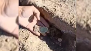 العثور على كنز مدفون يحرك السلطات وعناصر الدرك الملكي العثور على كنز مدفون يحرك السلطات وعناصر الدرك الملكي