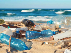 بينها المغرب..6 دول تدعو للحد من التلوث البلاستيكي بمؤتمر التجارة العالمية