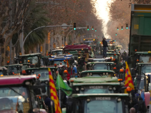 الهجمات ضد المنتجات الفلاحية المغربية: «كومادير» ترفع شكاوى لدى القضاء الإسباني الهجمات ضد المنتجات الفلاحية المغربية: «كومادير» ترفع شكاوى لدى القضاء الإسباني