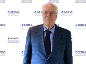 أوجه التآزر بين مينائي طنجة المتوسط والجزيرة الخضراء مدعوة للاستمرار في التوطد أوجه التآزر بين مينائي طنجة المتوسط والجزيرة الخضراء مدعوة للاستمرار في التوطد