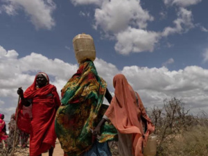 التغيّر المناخي والنساء القرويات التغيّر المناخي والنساء القرويات