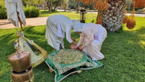 انطلاق فعاليات الدورة الـ12 لموسم تقطير ماء الزهر “زهرية مراكش” انطلاق فعاليات الدورة الـ12 لموسم تقطير ماء الزهر “زهرية مراكش”