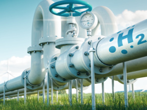 الهيدروجين الأخضر ورهان المغرب على الطاقة النظيفة في المستقبل الهيدروجين الأخضر ورهان المغرب على الطاقة النظيفة في المستقبل