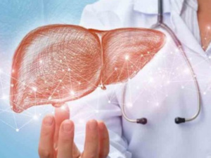 ما تأثير الصيام على الكبد والمعدة؟ وما هو موقف العلم من شرب الماء البارد
