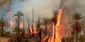 حريق باولاد شاكر بالرشيدية بأتي على 900نخلة