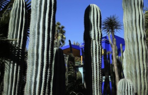 ابتداءا من اليوم..حجز واقتناء تذاكر الولوج لحديقة ماجوريل حصريا على شباكها الإلكتروني ابتداءا من اليوم..حجز واقتناء تذاكر الولوج لحديقة ماجوريل حصريا على شباكها الإلكتروني