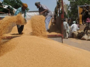 تعليق الحكومة على توقعات بنك المغرب حول تراجع المحصول الوطني للحبوب تعليق الحكومة على توقعات بنك المغرب حول تراجع المحصول الوطني للحبوب