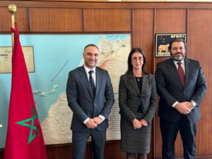 شركة NewMed Energy العملاقة تشرع في التنقيب عن الغاز الطبيعي بالصحراء المغربية
