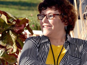 وفاة الإعلامية والسيناريست فاطمة الوكيلي تهز الساحة الإعلامية وفاة الإعلامية والسيناريست فاطمة الوكيلي تهز الساحة الإعلامية