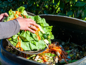 إهدار الطعام في المغرب: أكثر من أربعة ملايين طن يُلقى في النفايات سنويا