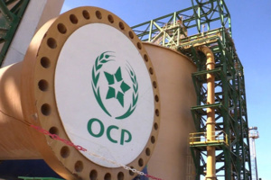 المكتب الشريف للفوسفاط  يطلق فرعه الجديد “OCP Nutricrops”