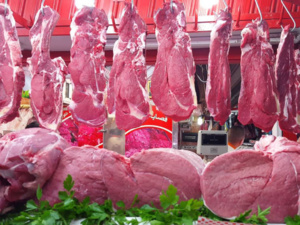 استعدادات تموين السوق باللحوم الحمراء لعيد الأضحى استعدادات تموين السوق باللحوم الحمراء لعيد الأضحى
