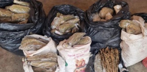 الدرك الملكي بسبت الكردان تتمكن من حجز كميات مهمة من المخدرات داخل ضيعة فلاحية ضواحي مدينة تارودانت. الدرك الملكي بسبت الكردان تتمكن من حجز كميات مهمة من المخدرات داخل ضيعة فلاحية ضواحي مدينة تارودانت.