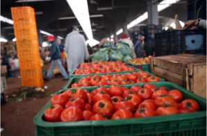 الرقم الاستدلالي للأثمان عند الاستهلاك السنوي يسجل ارتفاعا طفيفا خلال مارس 2024 الرقم الاستدلالي للأثمان عند الاستهلاك السنوي يسجل ارتفاعا طفيفا خلال مارس 2024