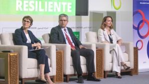 إعلان عن إطلاق طلب مشاريع في مجال الزراعة الإيكولوجية إعلان عن إطلاق طلب مشاريع في مجال الزراعة الإيكولوجية