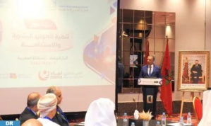 المكتب الوطني للكهرباء والماء الصالح للشرب: انعقاد ندوة للاتحاد العربي للكهرباء بالدار البيضاء