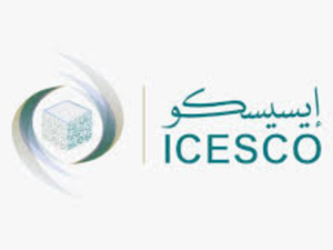 المدير العام للإيسيسكو: التركيز على تعزيز معجم اللغة العربية في التعليم والتكوين المدير العام للإيسيسكو: التركيز على تعزيز معجم اللغة العربية في التعليم والتكوين