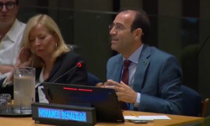 بنعليلو يبرز بنيويورك الأدوار الدستورية لوسيط المملكة في الدفاع عن الحقوق وترسيخ سيادة القانون بنعليلو يبرز بنيويورك الأدوار الدستورية لوسيط المملكة في الدفاع عن الحقوق وترسيخ سيادة القانون