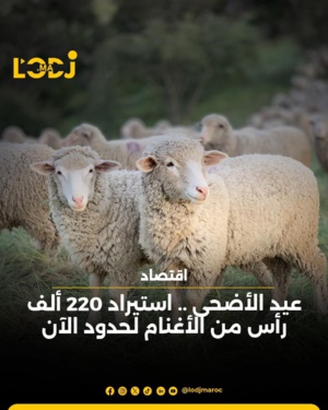 عيد الأضحى: استيراد 220 ألف رأس من الأغنام لحدود الآن 