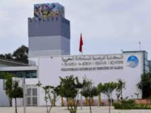 المكتبة الوطنية للمملكة المغربية تعلن عن إطلاق منصة رقمية لأول مرة في المغرب المكتبة الوطنية للمملكة المغربية تعلن عن إطلاق منصة رقمية لأول مرة في المغرب