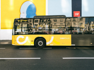 "تكييف مواعيد العمل لحافلات البيضاء بمناسبة عيد الأضحى "تكييف مواعيد العمل لحافلات البيضاء بمناسبة عيد الأضحى