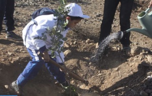 اليوم العالمي لمكافحة التصحر والجفاف.. "متحدون من أجل الأرض: إرثنا. مستقبلنا" اليوم العالمي لمكافحة التصحر والجفاف.. "متحدون من أجل الأرض: إرثنا. مستقبلنا"