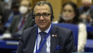 فيينا.. المغرب يشارك في ترؤس الاحتفال بالذكرى الستين لإنشاء مجموعة الـ 77 فيينا.. المغرب يشارك في ترؤس الاحتفال بالذكرى الستين لإنشاء مجموعة الـ 77