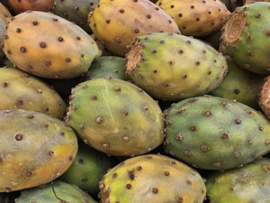 تحديات جديدة تواجه باعة التين الشوكي بعد ارتفاع أسعار "الهندية"  تحديات جديدة تواجه باعة التين الشوكي بعد ارتفاع أسعار "الهندية"