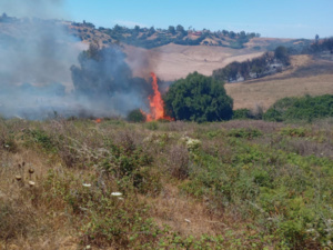 طنجة تشهد اندلاع حرائق متفاقمة: جهود الإطفاء في تحدي جديد طنجة تشهد اندلاع حرائق متفاقمة: جهود الإطفاء في تحدي جديد