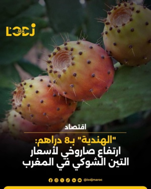 "الهندية" ب8 دراهم: ارتفاع صاروخي لأسعار التين الشوكي في المغرب "الهندية" ب8 دراهم: ارتفاع صاروخي لأسعار التين الشوكي في المغرب