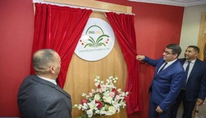 الرباط.. افتتاح مركز “بيت المقدس” للبحوث والدراسات الرباط.. افتتاح مركز “بيت المقدس” للبحوث والدراسات