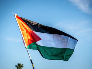 مباحثات بين المغرب وفلسطين حول تعزيز التعاون الصحي وتبادل الخبرات مباحثات بين المغرب وفلسطين حول تعزيز التعاون الصحي وتبادل الخبرات