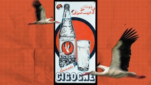 بعد غياب دام 21 عامًا "اللقلاق" تعود من جديد بعد غياب دام 21 عامًا "اللقلاق" تعود من جديد