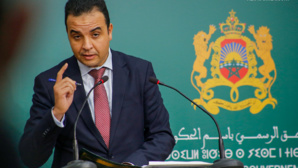 22 ألف و106 سؤالا كتابيا توصلت بها الحكومة منذ بداية الولاية التشريعية 22 ألف و106 سؤالا كتابيا توصلت بها الحكومة منذ بداية الولاية التشريعية