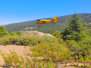 طائرات "كاندير" وعشرات فرق الإطفاء تسيطر على حريق غابوي بإقليم الحسيمة طائرات "كاندير" وعشرات فرق الإطفاء تسيطر على حريق غابوي بإقليم الحسيمة