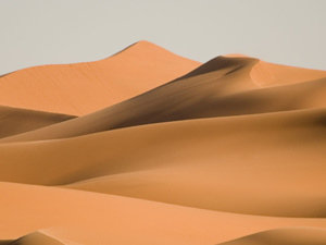 المغرب - فرنسا تيهان اليسار على رمال الصحراء المغرب - فرنسا تيهان اليسار على رمال الصحراء