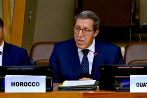 الصحراء: هلال يوجه رسالة إلى مجلس الأمن يدين فيها التصريح الإستفزازي للجزائر الصحراء: هلال يوجه رسالة إلى مجلس الأمن يدين فيها التصريح الإستفزازي للجزائر