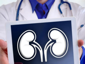 الفشل الكلوي: كيف يتم كشفه ومتى يبدأ المريض بغسيل الكلى؟ الفشل الكلوي: كيف يتم كشفه ومتى يبدأ المريض بغسيل الكلى؟