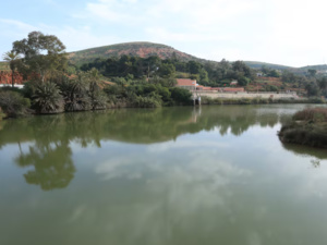 الأمطار الأخيرة تنعش سدود حوض كير-زيز-غريس وتزيد من حجم المخزون المائي الأمطار الأخيرة تنعش سدود حوض كير-زيز-غريس وتزيد من حجم المخزون المائي