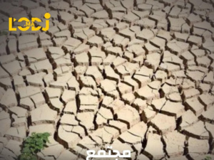 أزمة حقيقية تهدد قطاع الزراعة