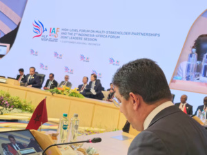 المغرب يعزز شراكته مع إندونيسيا وإفريقيا ضمن إطار التعاون جنوب-جنوب المغرب يعزز شراكته مع إندونيسيا وإفريقيا ضمن إطار التعاون جنوب-جنوب