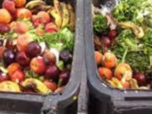 مبادرة غير مسبوقة باقتراح قانون لمكافحة هدر الطعام مبادرة غير مسبوقة باقتراح قانون لمكافحة هدر الطعام