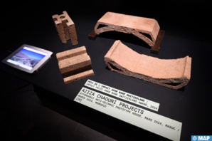 المهندسة المعمارية عزيزة الشاوني تحرز جائزة معهد العالم العربي للتصميم المهندسة المعمارية عزيزة الشاوني تحرز جائزة معهد العالم العربي للتصميم