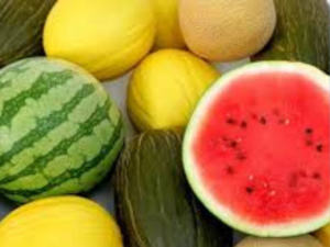 المغرب: أول مورد للبطيخ إلى إسبانيا وفرنسا في عام 2023 المغرب: أول مورد للبطيخ إلى إسبانيا وفرنسا في عام 2023