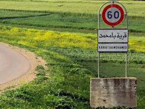 من الكيف إلى الذهب الأخضر: "تاونات تزرع الأمل" من الكيف إلى الذهب الأخضر: "تاونات تزرع الأمل"