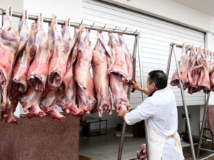 المندوبية السامية للتخطيط : ارتفاع أسعار اللحوم بنسبة %6,8 بين شهري يوليوز وغشت المندوبية السامية للتخطيط : ارتفاع أسعار اللحوم بنسبة %6,8 بين شهري يوليوز وغشت