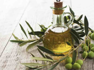 زيت الزيتون تحت الضغط: كيف تؤثر العوامل المناخية والإقتصادية على أسعاره؟ زيت الزيتون تحت الضغط: كيف تؤثر العوامل المناخية والإقتصادية على أسعاره؟